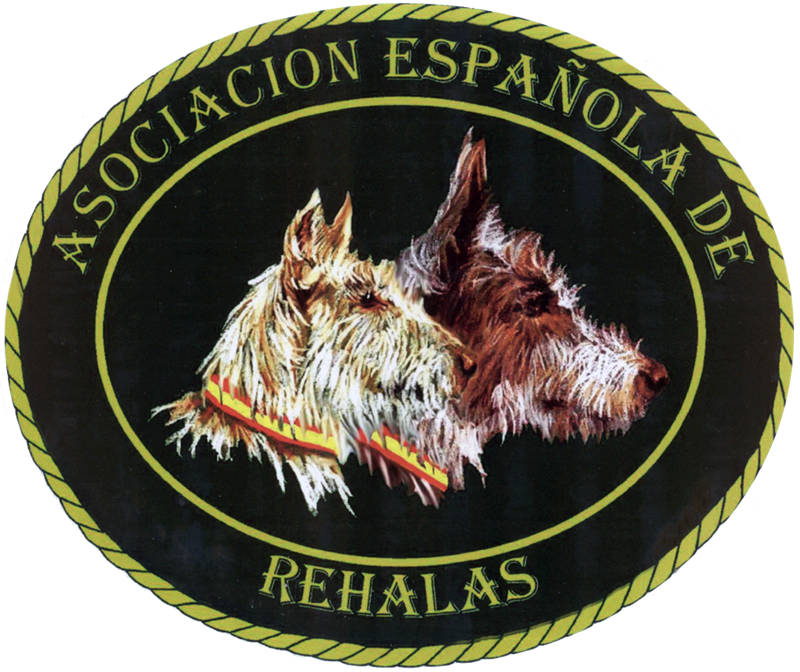 Recomendaciones de la Asociación Española de Rehalas frente al Covid-19. Temporada 2020-2021